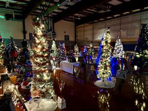 Festival of Trees