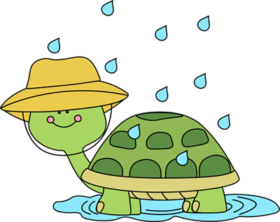 spring turtle